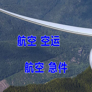 阆中古城航空托运快递-选东方航空和上海航空