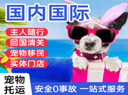 阆中古城航空托运国际宠物托运 【国